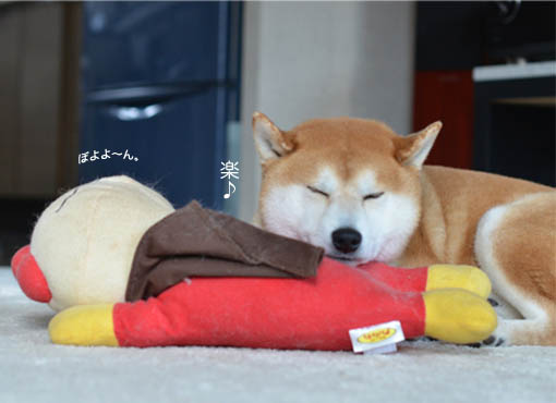 10日ブログ４.jpg