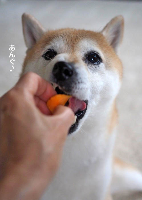 29日夜ブログ１０