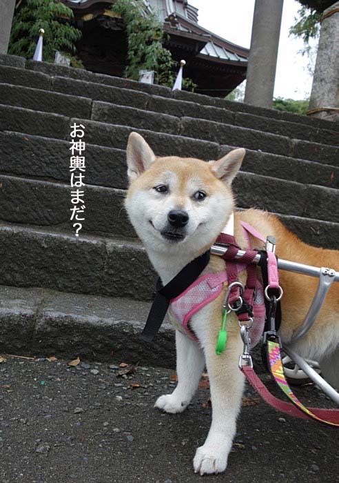 15日ブログ２