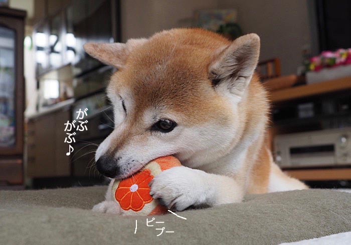 24日ブログ６