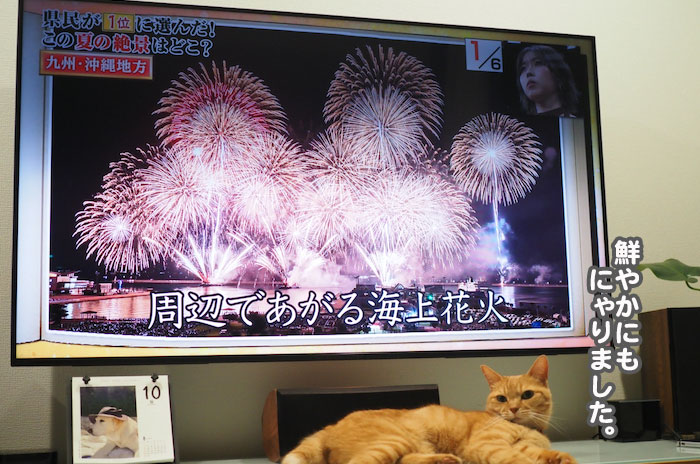 11日夕ブログ７