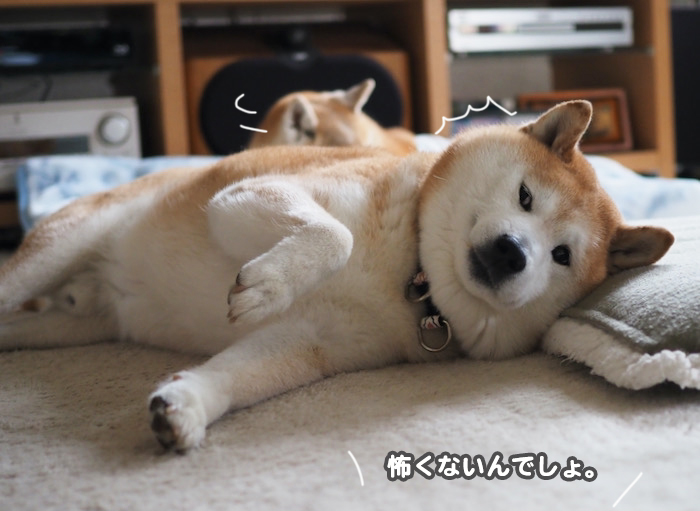 26日ブログ８