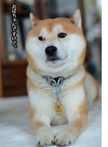 9日ブログ7.jpg
