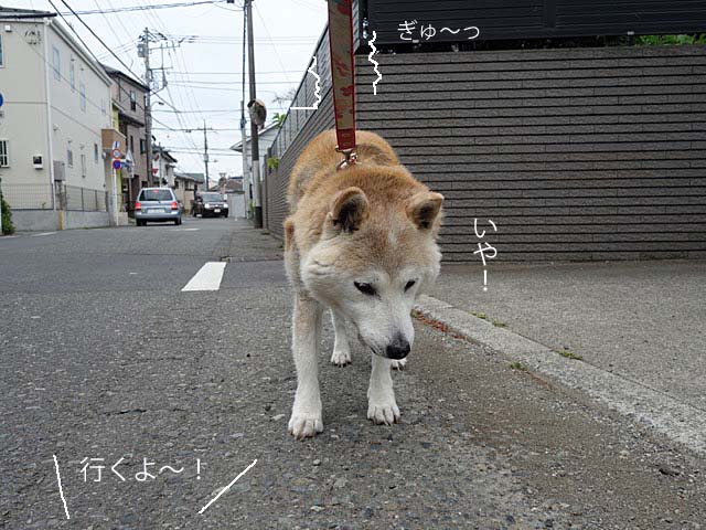 30日ブログ2