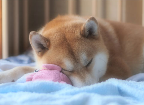 25日ブログ9.jpg