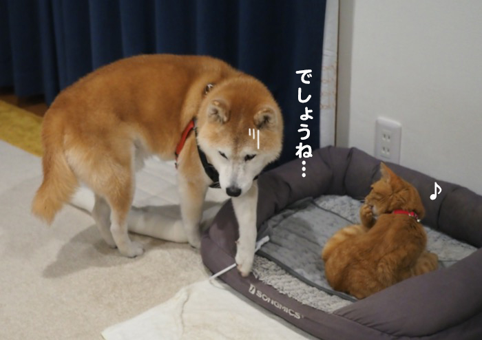 21日夕ブログ６