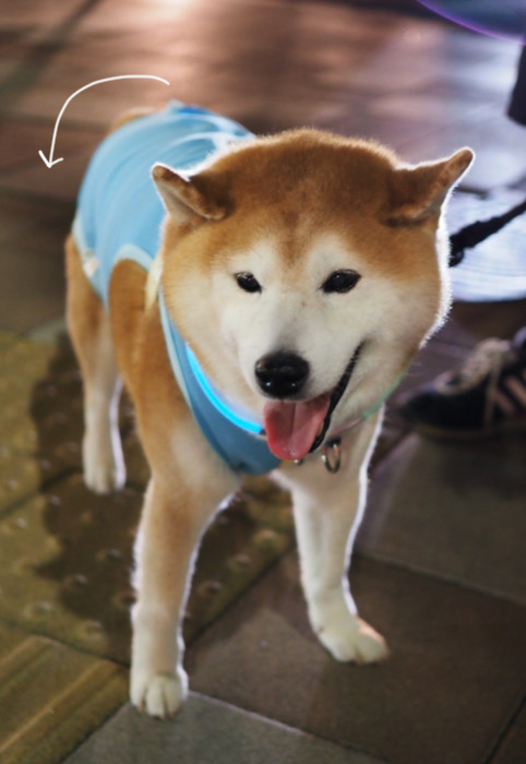 14日夜ブログ8