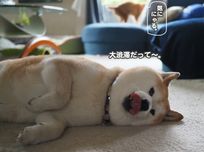 3日ブログ３
