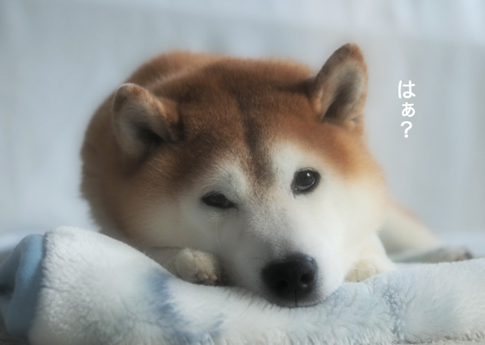 22日夕ブログ４