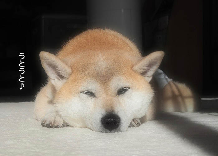 20日午後ブログ３