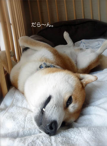 30日ブログ5.jpg