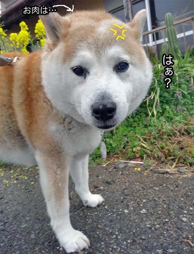 28日ブログ6.jpg
