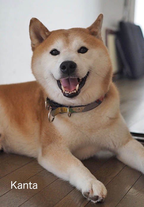 8日朝ブログ１