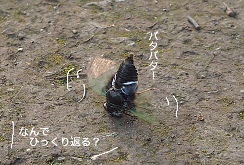 3日ブログ４