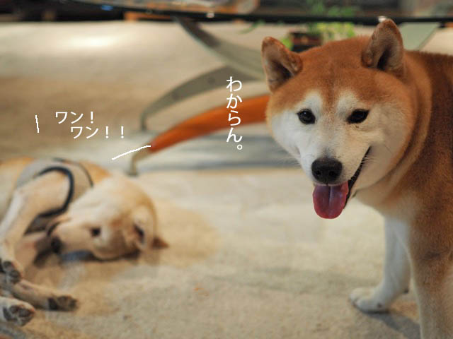 5日ブログ4
