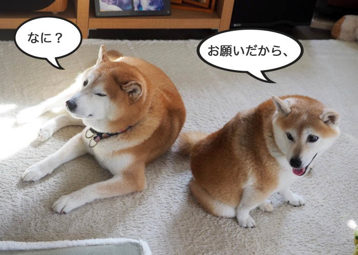 13日夜ブログ３