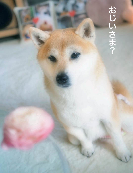 18日ブログ3