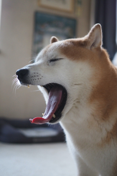 3日ブログ１