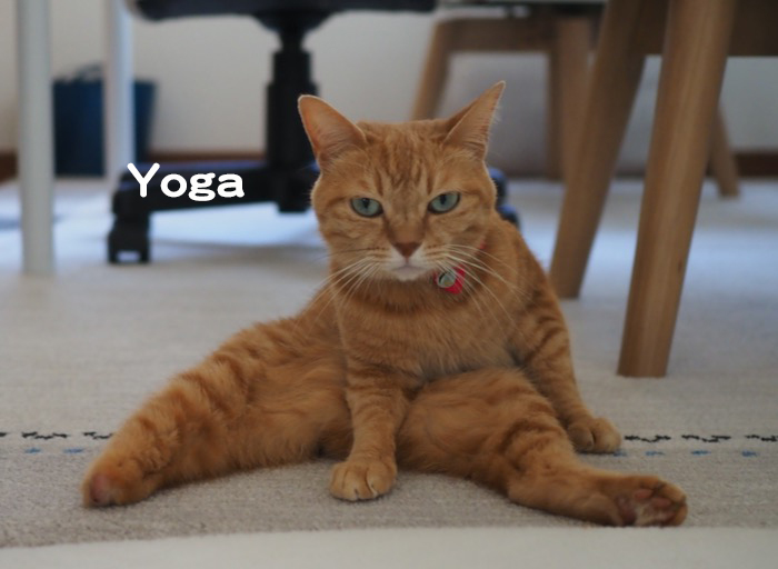 10日夕ブログ４