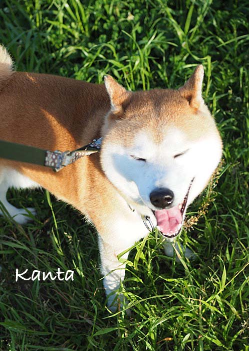 22日夕ブログ３