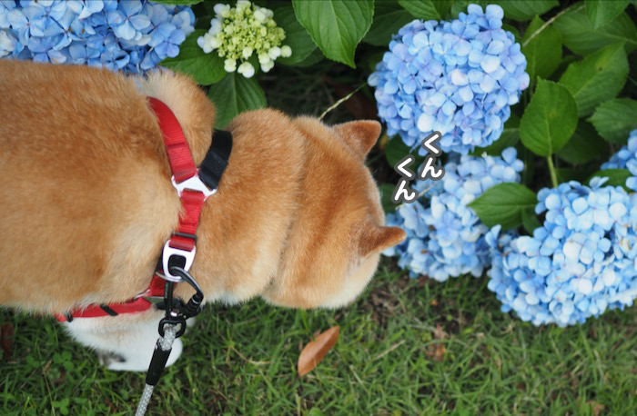 25日夕ブログ１