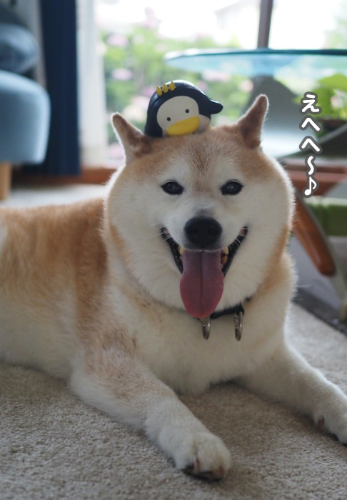 20日夕ブログ８