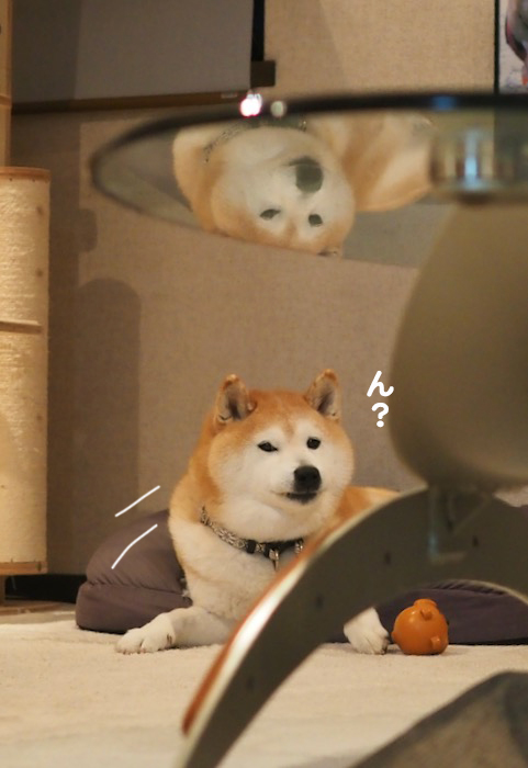 5日夕ブログ３