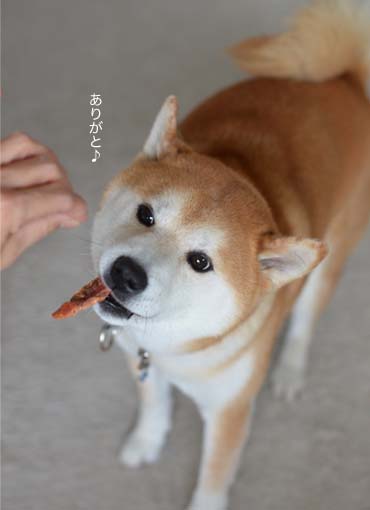 21日ブログ5.jpg