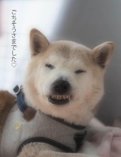 31日午後ブログ6