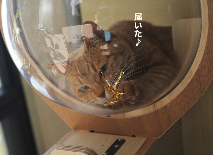 5日夕ブログ６