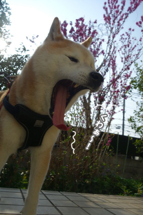 11日ブログ４