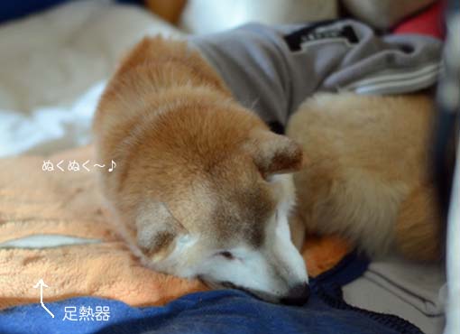 2日ブログ５.jpg
