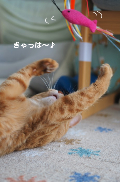 10日夕ブログ３