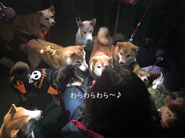 2日ブログ2