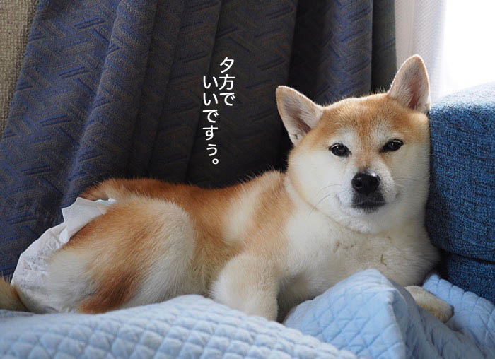 4日夜ブログ５