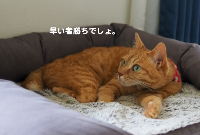 21日夕ブログ５