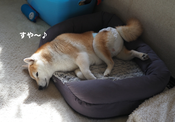 2日夕ブログ６