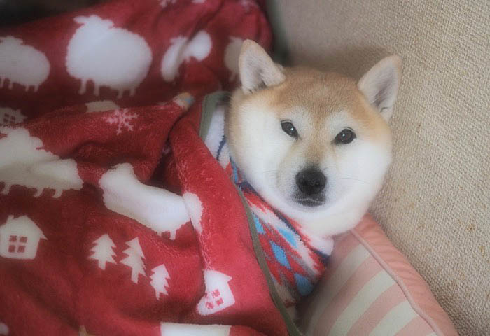 18日ブログ３