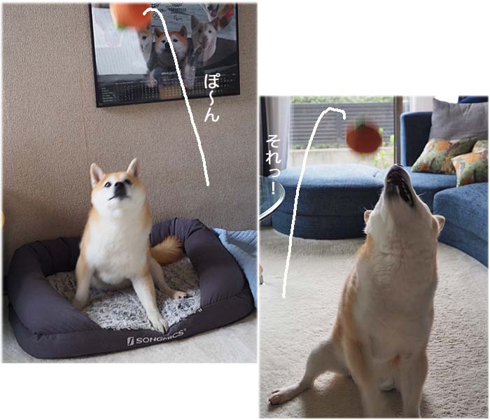 24日ブログ４