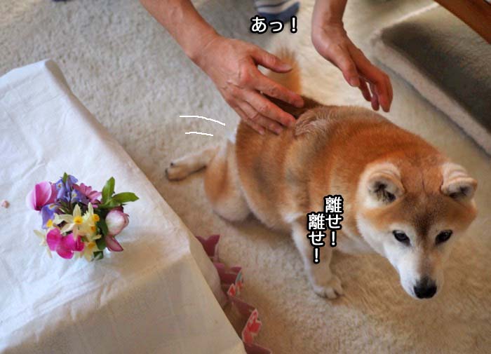 3日午後ブログ７
