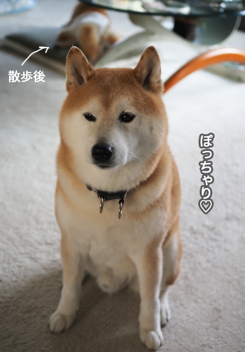 11日夜ブログ１２