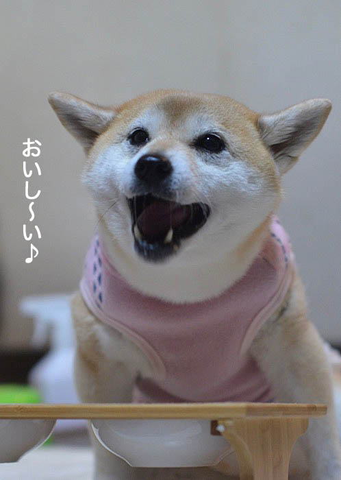 18日ブログ３