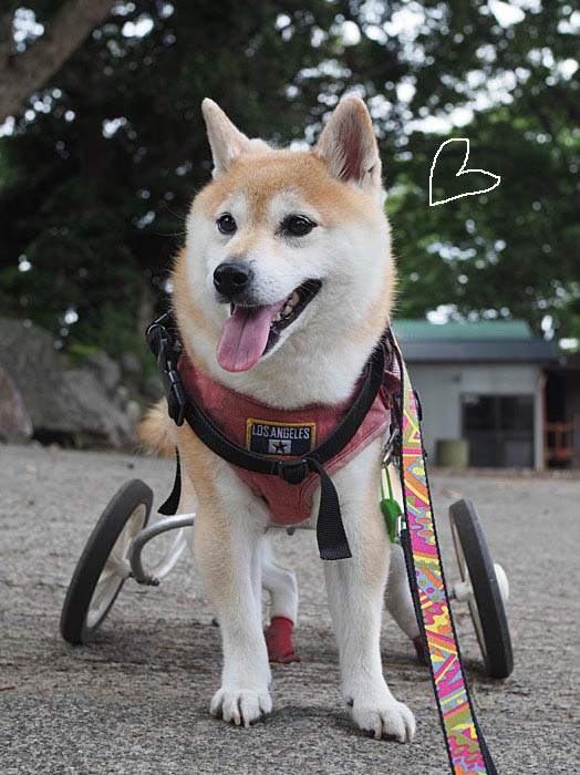 10日ブログ７