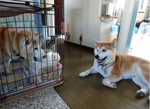 26日ブログ3.jpg