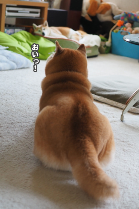 12日夕ブログ２