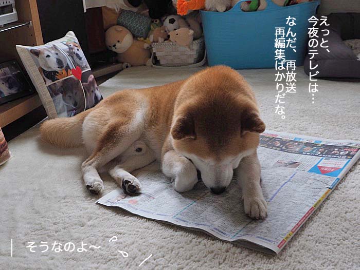 19日夜ブログ５