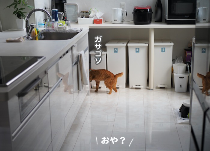 15日夕ブログ２