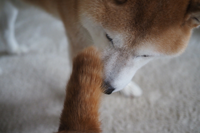 13日ブログ２