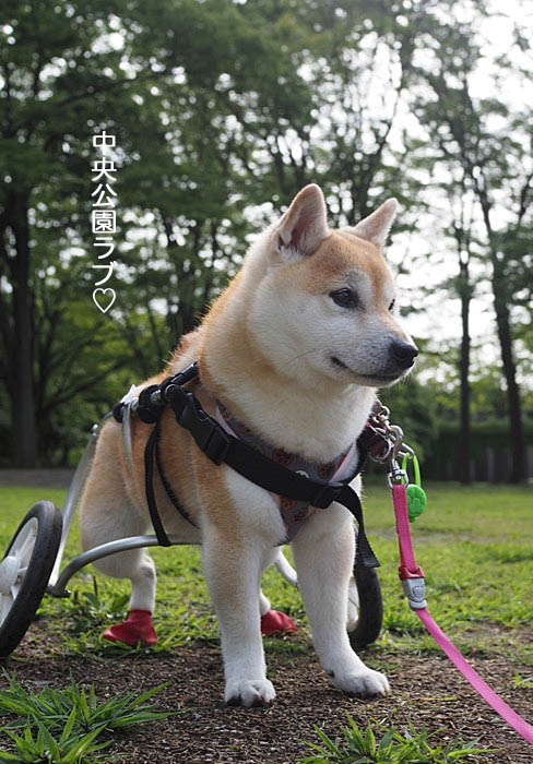 9日ブログ２