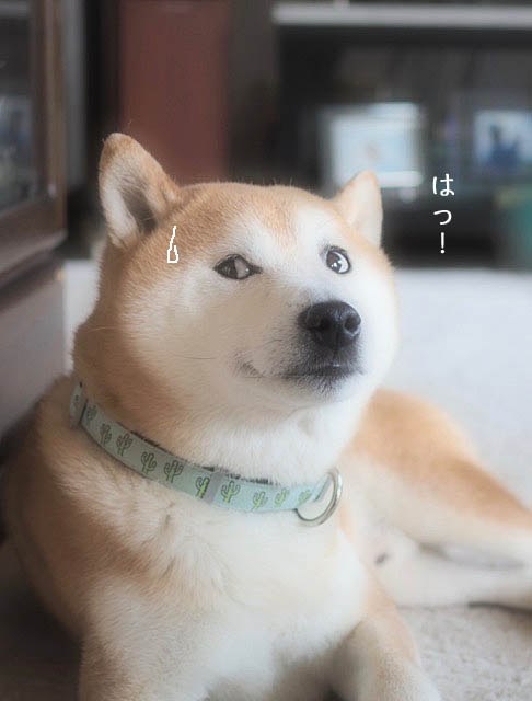 22日ブログ3